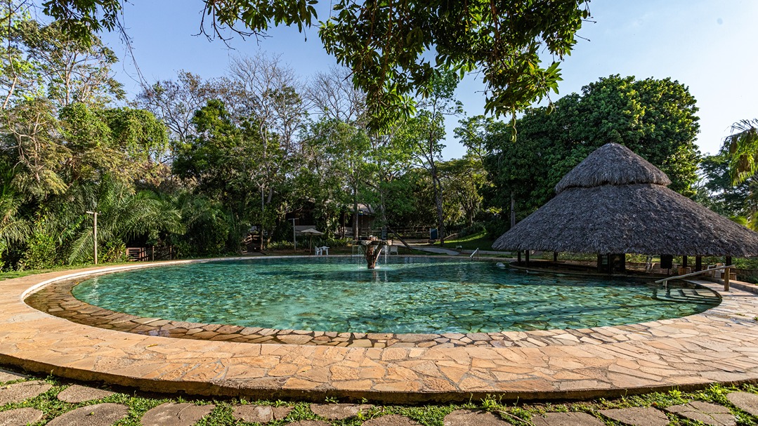 Dia do Trabalho | 1 a 6 de maio