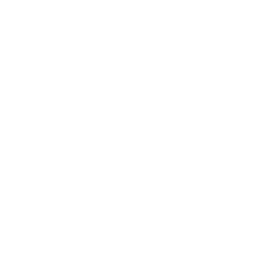 Maximum Weight