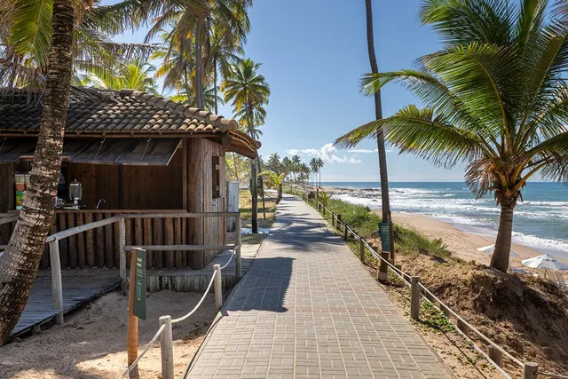 O Que Fazer Na Costa Do Sauípe Dentro E Fora Dos Resorts