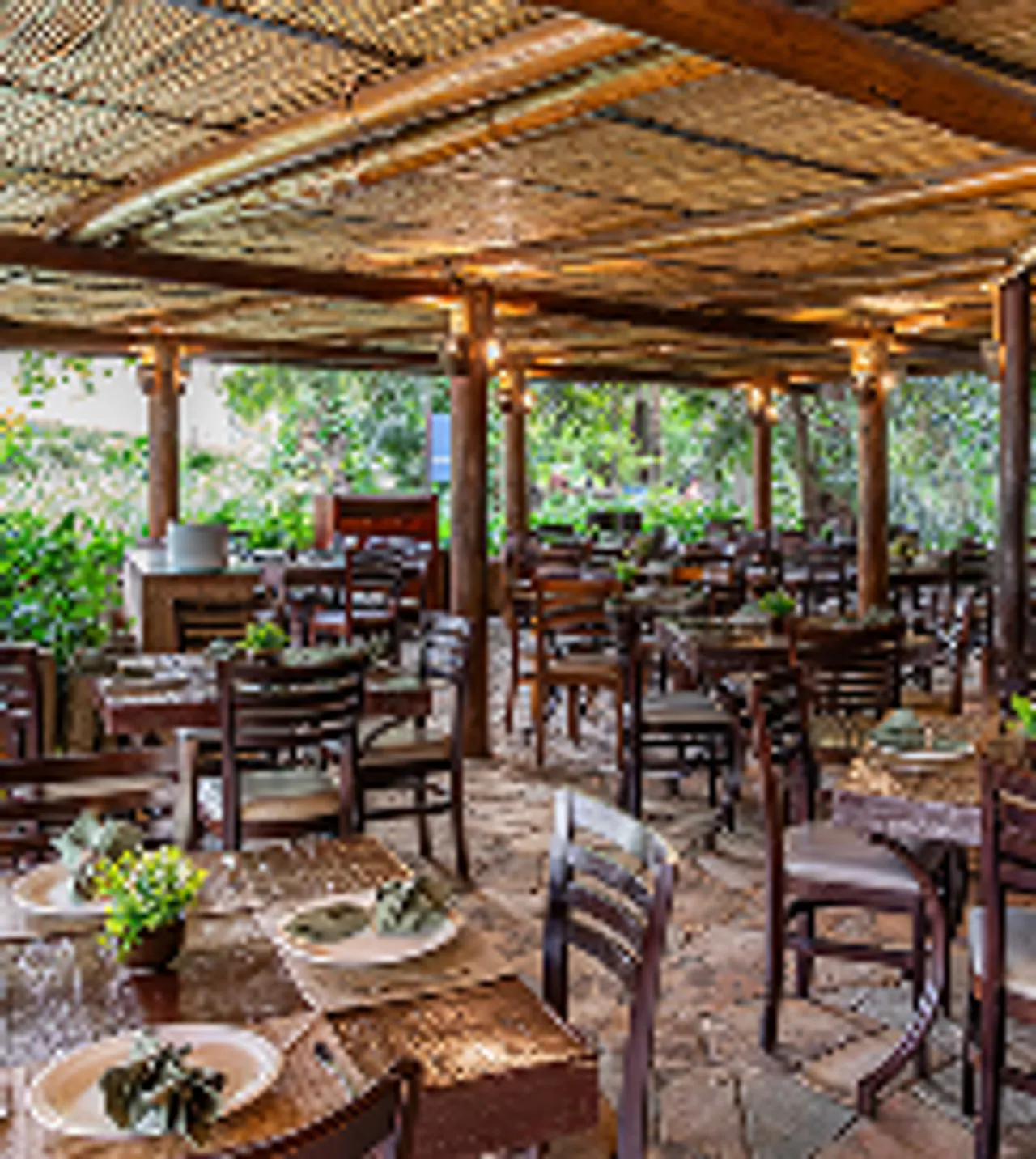 Pizzaria Oliva